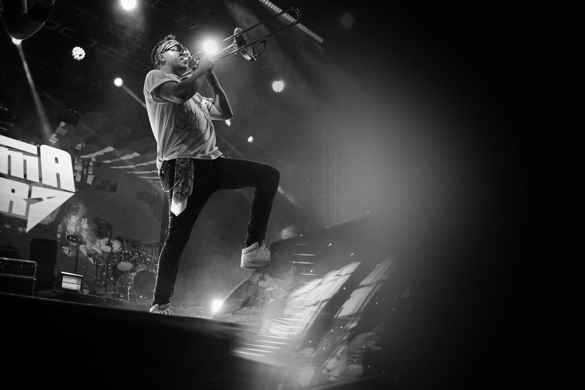 musichology siguenos 01